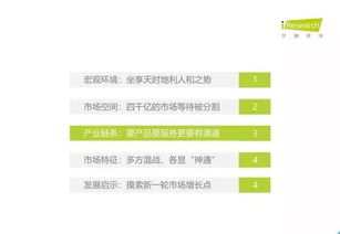 2019年中國教育信息化行業(yè)報告 信息技術(shù)咨詢服務(wù)的現(xiàn)狀與發(fā)展