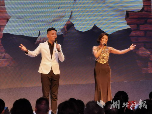 湖北省文藝界原創(chuàng)音樂作品專題演唱會成功舉辦，系列公益演出持續(xù)惠民